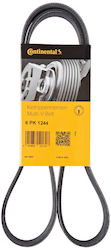 Contitech 6 Pk 1244 Multi-rib Belt Contitech 6 Pk 1244 Multi-rib Belt