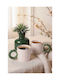 SteweHome Cană Ceramică Bej 260ml 2 Bucăți