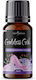 Goddess Girl Fragrance Oil 10 Ml