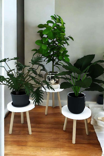 SteweHome White Wooden Plant Stands 23x23x28cm 3 Pieces