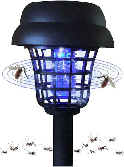 SteweHome Set of 2 Solar Lights with Blue Light