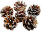 Glitter Decorated Pine Cones 1 Pack