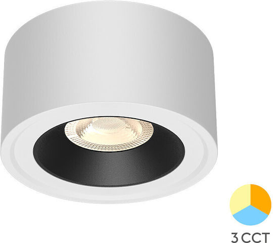 Braytron Spoturi Cu 10 Lumini În Culoare Albă