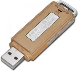 USB Spy Bug Capacity 8GB
