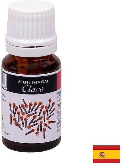 Antibacterial Antifungal Action Clove Essential Oil 10 Ml