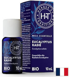 Eucalyptus Essential Oil Organic 10 Ml