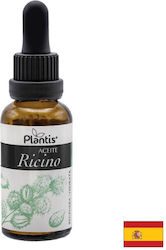 Castor Oil Hair Skin Nails 30 Ml Artesania