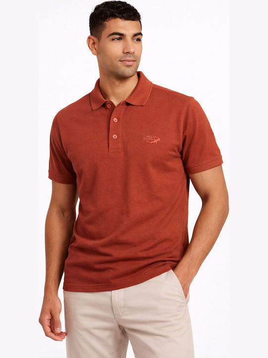 Polo Kurzarm Braun Bluse