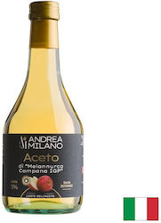 Apple Vinegar From Anurka Apple Variety 500 Ml