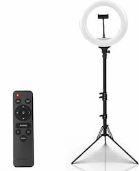 Andowl RGB Ringlichter 32cm mit Bodenstativ Andowl RGB Ringlichter 32cm mit Bodenstativ
