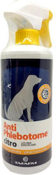Σπρέι Σιτρονέλας Σκύλου Antiphlebotome Citro 500ml