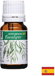 Artesania Agricola Ulei Esențial Bio de Eucaliptus 10ml Artesania Agricola Ulei Esențial Bio de Eucaliptus 10ml