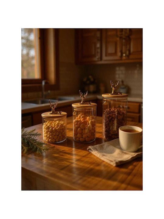 SteweHome Set of 3 General Use Glass Transparent Jars with Lid 9x10cm