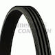 Contitech 4er Pack 922 Elastischer Riemen für Getriebe
