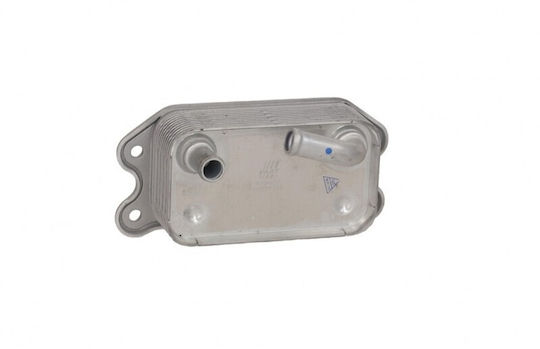 Radiator de ulei Ford Mondeo IV 07 31201909