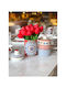 SteweHome Set of 2 General Use Food Jars with Lid Made of Porcelain 999ml