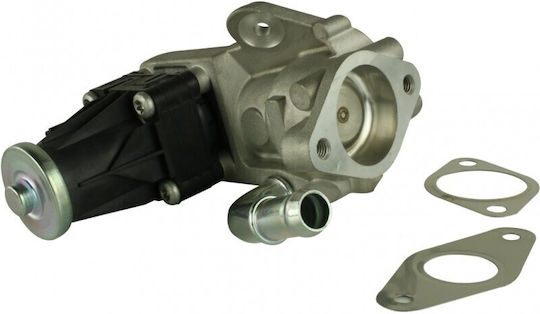 Hanswerk Supapă EGR pentru automobil Ford Transit