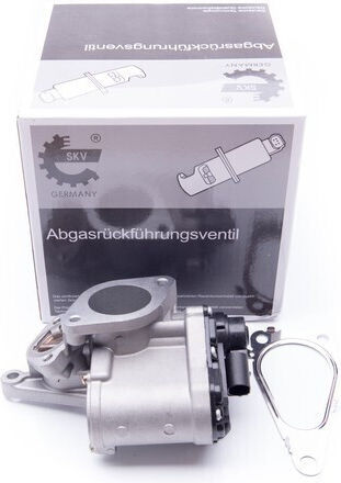 SKV Βαλβίδα EGR Αυτοκινήτου για Renault Laguna / Megane / Scenic