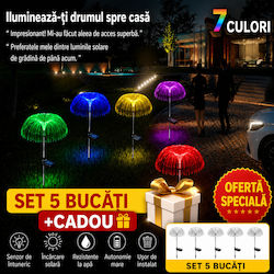 Smart Set 5 Lampi Solare Cu Senzor De Mișcare