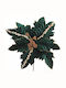Christmas Decorative Green Flower