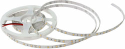 Lightex Ταινία LED 12V Θερμό Λευκό Lightex Ταινία LED 12V Θερμό Λευκό