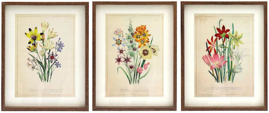 Painting 30x40 Wild Flowers 3 Types
