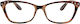 Frog Optical Γυαλιά Πρεσβυωπίας +3.00
