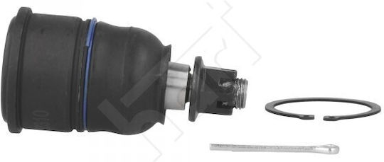Hart Frontsystem für Honda Accord IX 2008 / unten