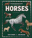 Horses Lucy Thorn Hodder Children's Books