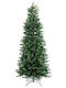 Christmas Tree Mango 180cm