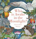 Who Is Awake In The Moonlight? - Boxer Books Limited - Paperback / Softback