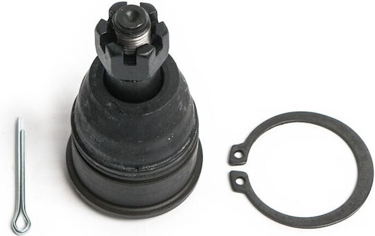 Oyodo Stoßdämpfer Honda CR-V Rd4 6 8 02 51220S9A982