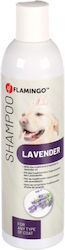 Flamingo Hundeshampoo Für Hunde Lavendel 300ml