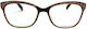 Frog Optical Γυαλιά Πρεσβυωπίας +4.50 σε Καφέ χρώμα