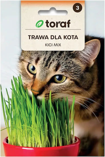 Toraf Iarbă pentru tulburări gastrointestinale 30gr
