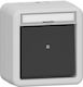 Gira 315630 Wipptaster Wechsler Bsf Wg Ap Γκρι