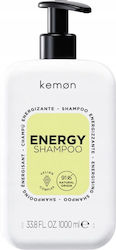 Kemon Energy Treatment 1000ml Kemon Energy Treatment 1000ml