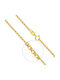 Xryseio Women's Gold Neck Chain 9K