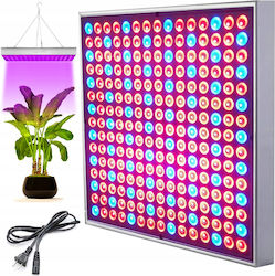 Jumi Lumină de creștere cu LED și Putere 45W M31xD31xÎ3.5cm