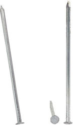 Standard Nails 9.0*275mm 5 Kg 900 275 5