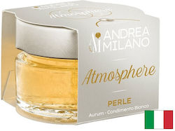 Acetificio Andrea Milano Dressing 50gr