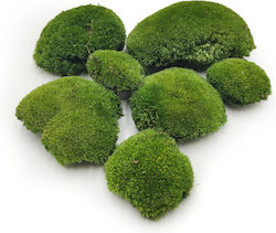 Moos Kissen Dunkle Grüne Natürliche 0.062m² 40x15cm Schweden