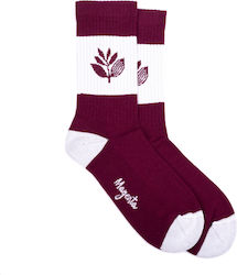 Magenta Burgundy Socks