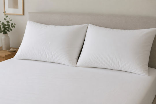 Polyester Anatomic 50x70cm 2 Pieces Polyester Anatomic 50x70cm 2 Pieces