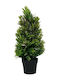 Christmas Decorative Tree Pot Fylliana Green Colour 10x35cm