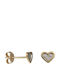 Gold 14K Stud Earrings