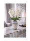 SteweHome Decorative Silver Glass Vase Y20cm