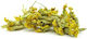Primrose 100gr