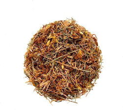 Herbstore Βαλσαμόχορτο / Σπαθόχορτο / Βήχιο Herbstore Βαλσαμόχορτο / Σπαθόχορτο / Βήχιο
