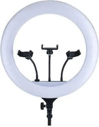 Salon Tech FM-18R Ring Light Salon Tech FM-18R Ring Light